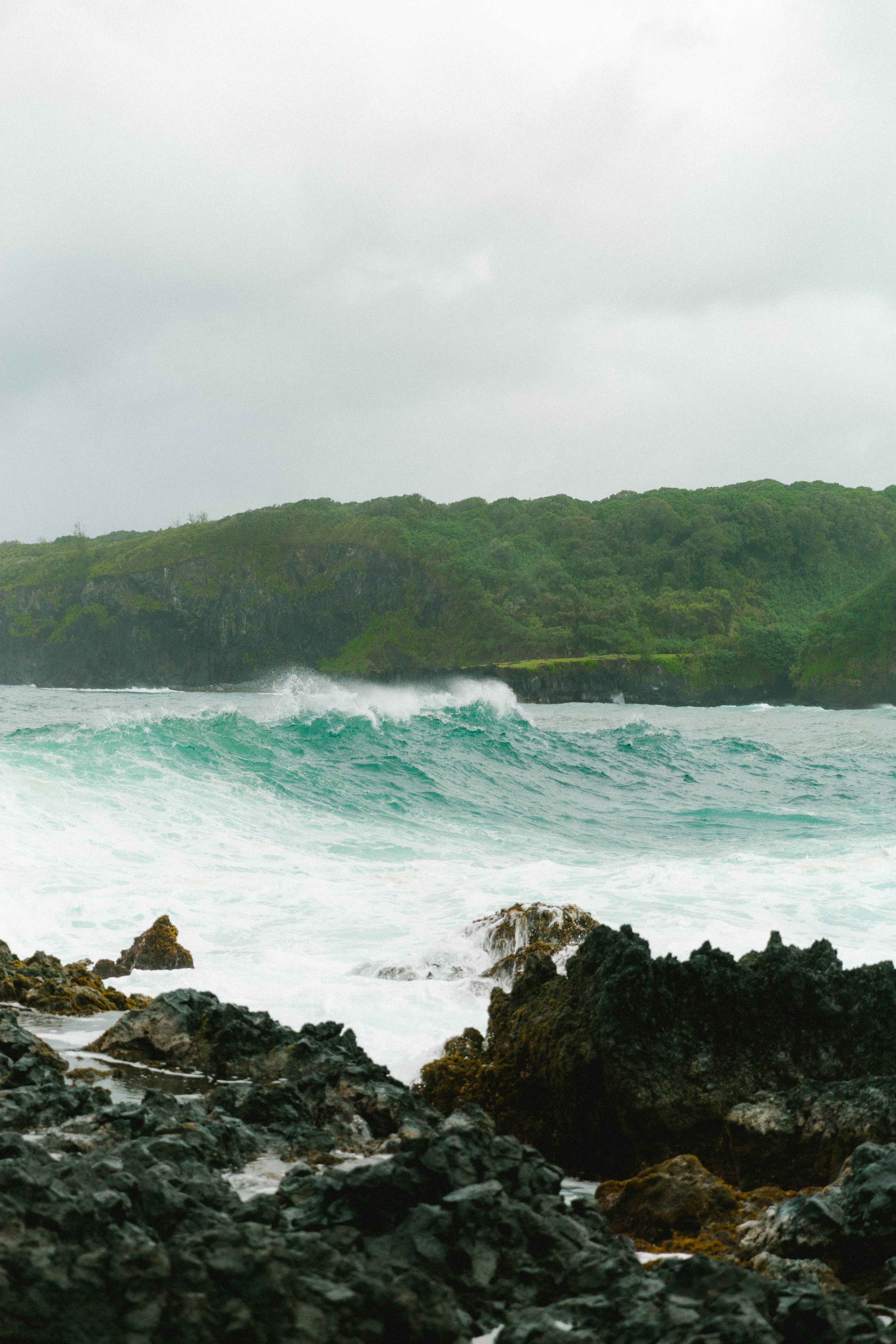 rocky shore with green moss and green trees under white sky during daytime